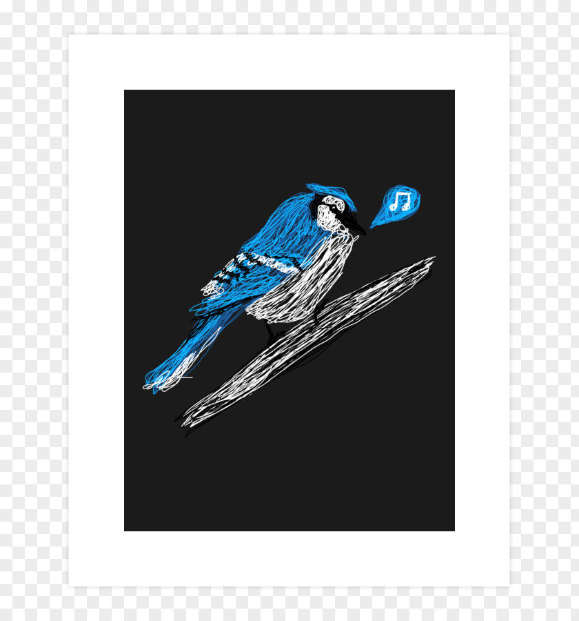 Feather Blue Jay Advertising Macaw Beak PNG