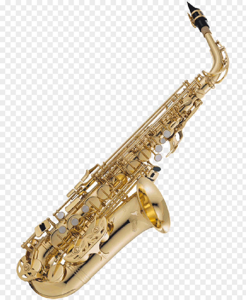 Saxophone Alto Henri Selmer Paris Woodwind Instrument Yanagisawa Wind Instruments PNG