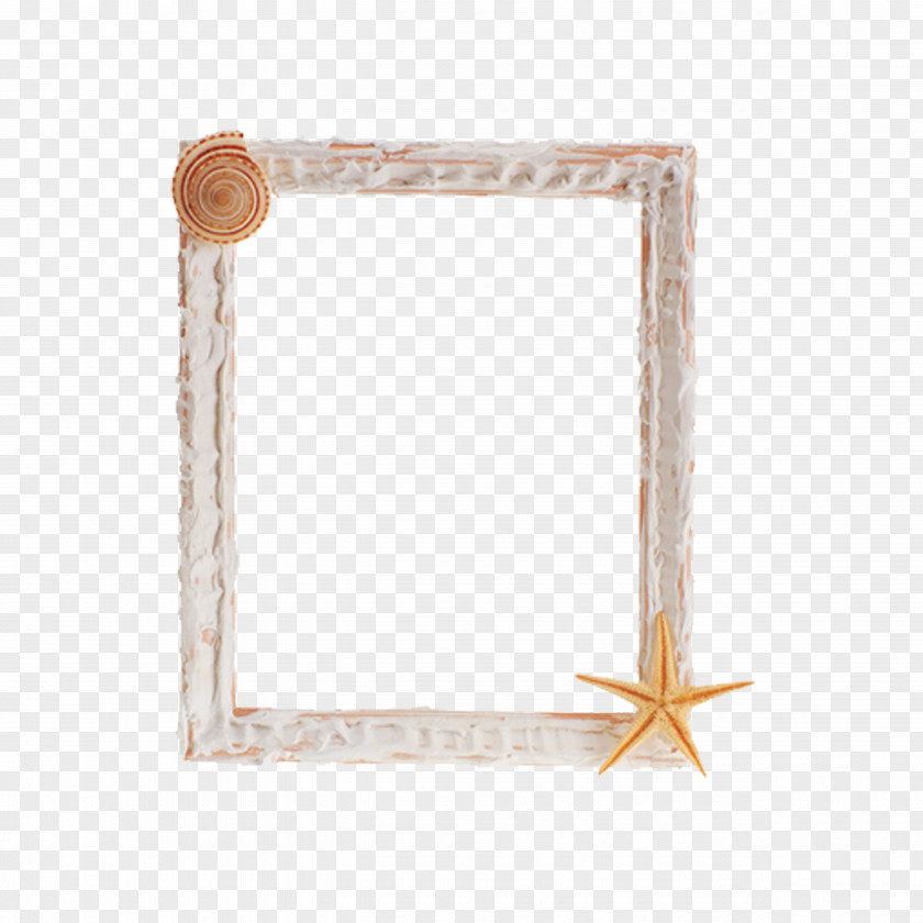 Shell Frame Picture Photography Clip Art PNG