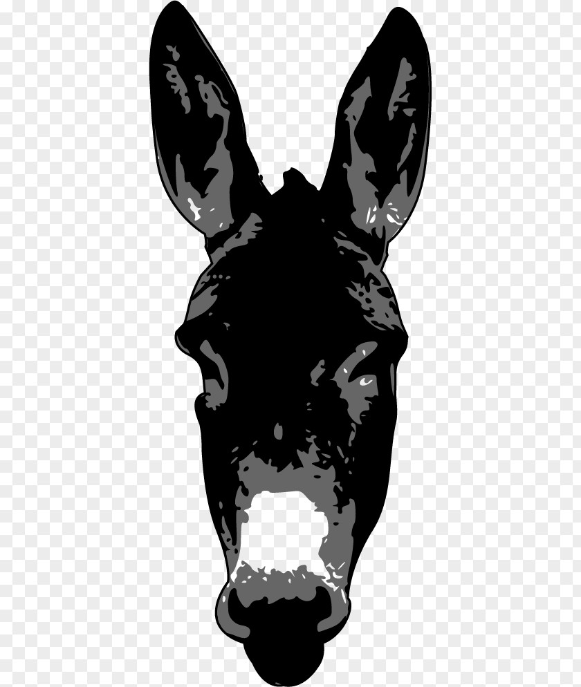 Vector Painted Donkey Cartoon Clip Art PNG