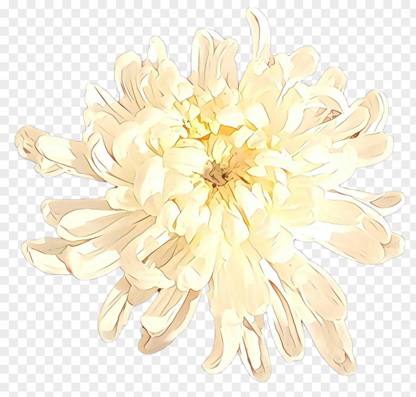 White Flower Plant Petal Yellow PNG