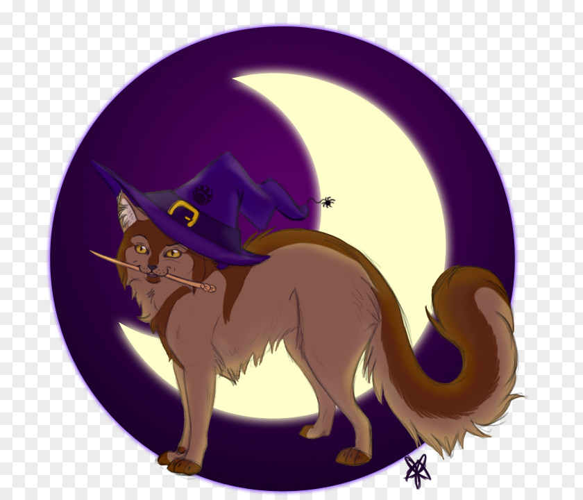 Witch Cat Whiskers Witchcraft DeviantArt Tail PNG