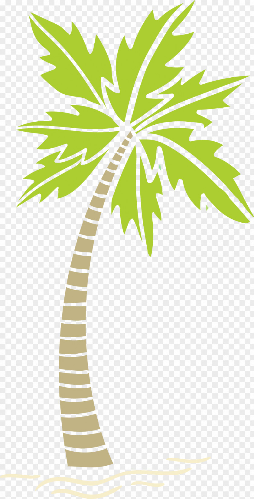 Areca Tree Effect Diagram Arecaceae Palm PNG