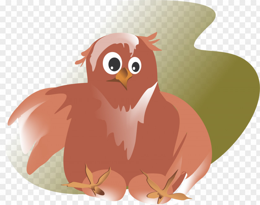 Judo Owl Bird PNG