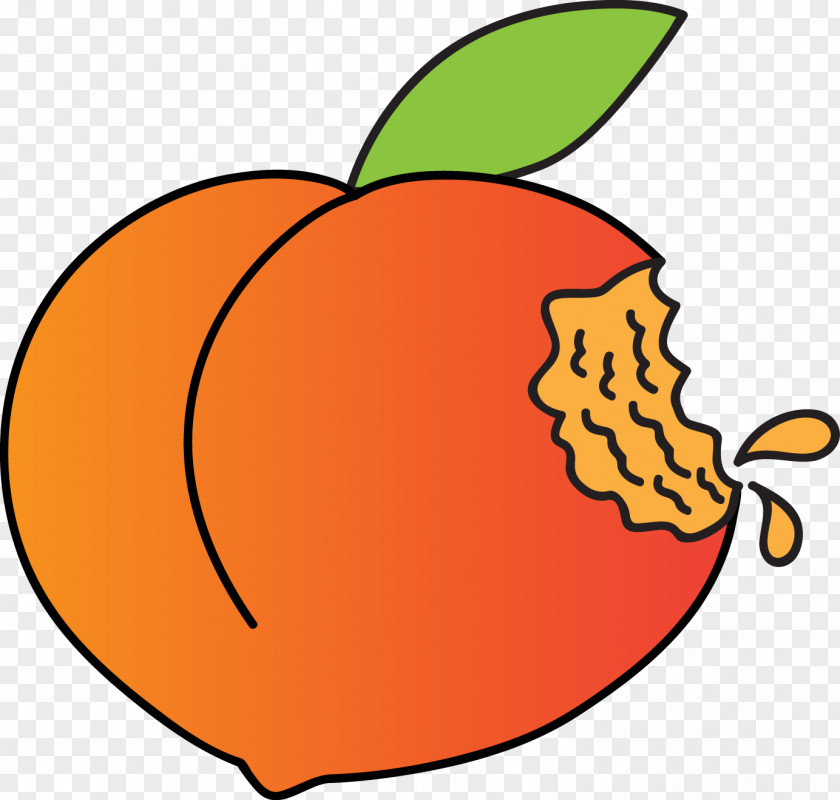 Peach Fruit Flowering Plant Food Clip Art PNG