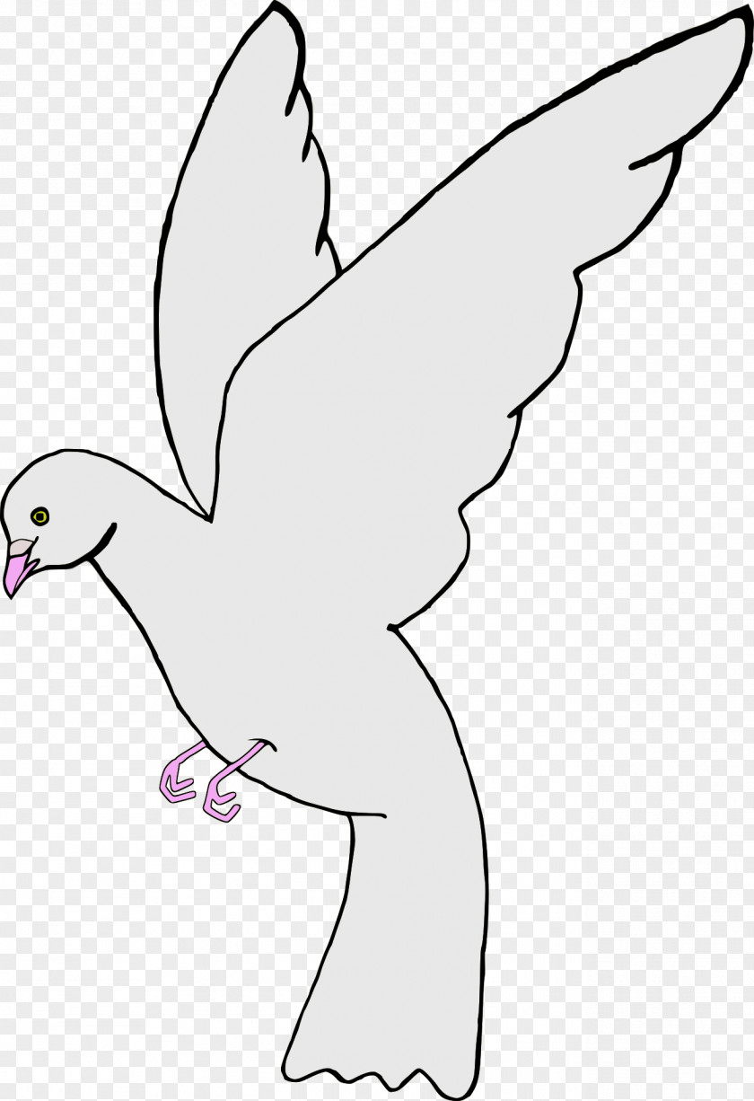 Pigeon Typical Pigeons Clip Art PNG