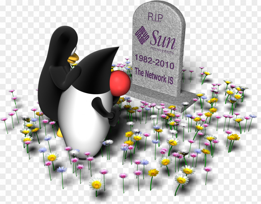RIP Sun Microsystems Acquisition By Oracle Java Corporation ZFS PNG