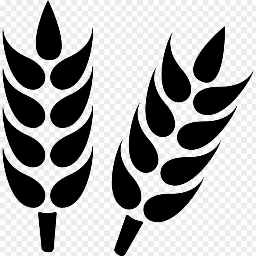 Agricultural Adjustment Act Logo Emaze Clip Art Wheat Vector Graphics Grain PNG