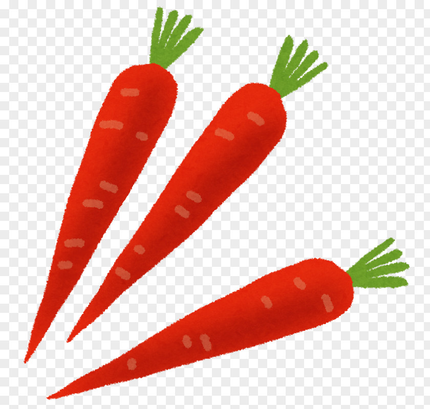 Carrot Bird's Eye Chili Vegetable Food Salt PNG