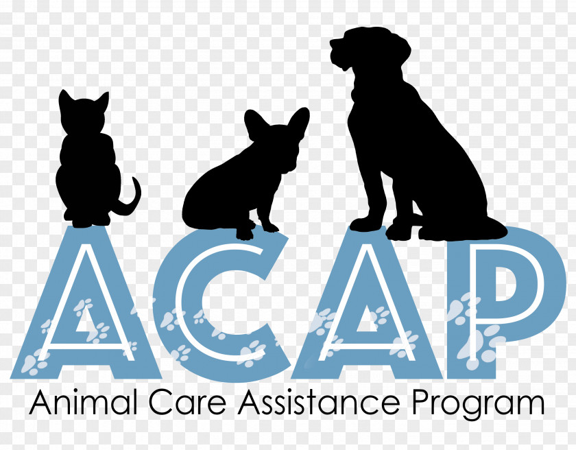 Cat Dog Human Behavior Logo Canidae PNG