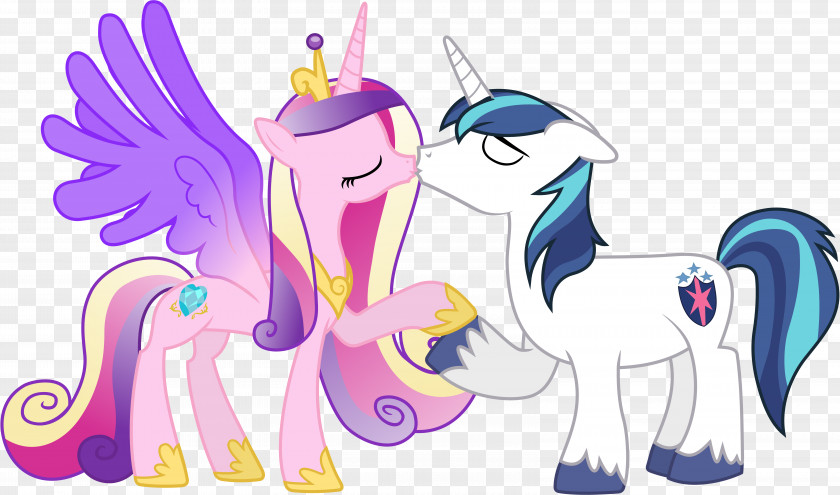 Disney Princess Cadance Pony Celestia Twilight Sparkle Rainbow Dash PNG