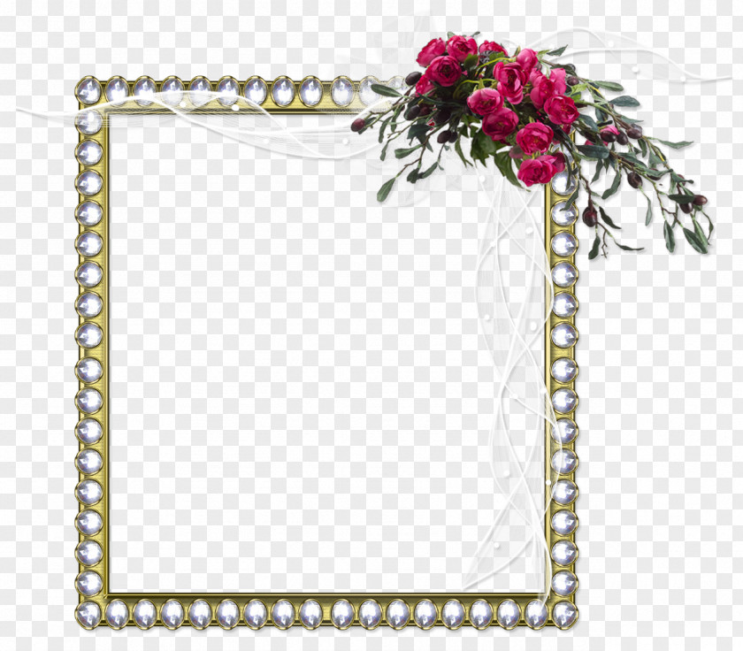 Frame Picture Frames Diary Photography LiveInternet Animation PNG