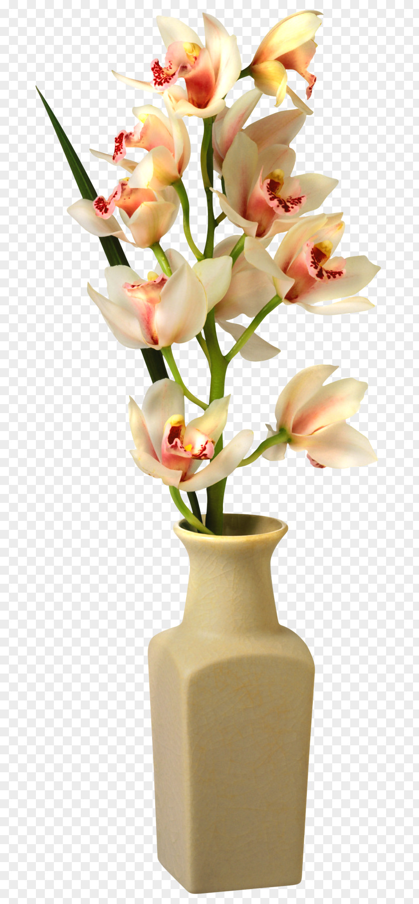 Orchid In Vase Clip Art Image Flower PNG