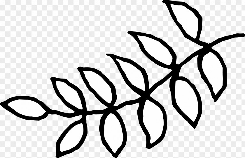 Picmonkey Button Clip Art Leaf Pattern Line Plant Stem PNG
