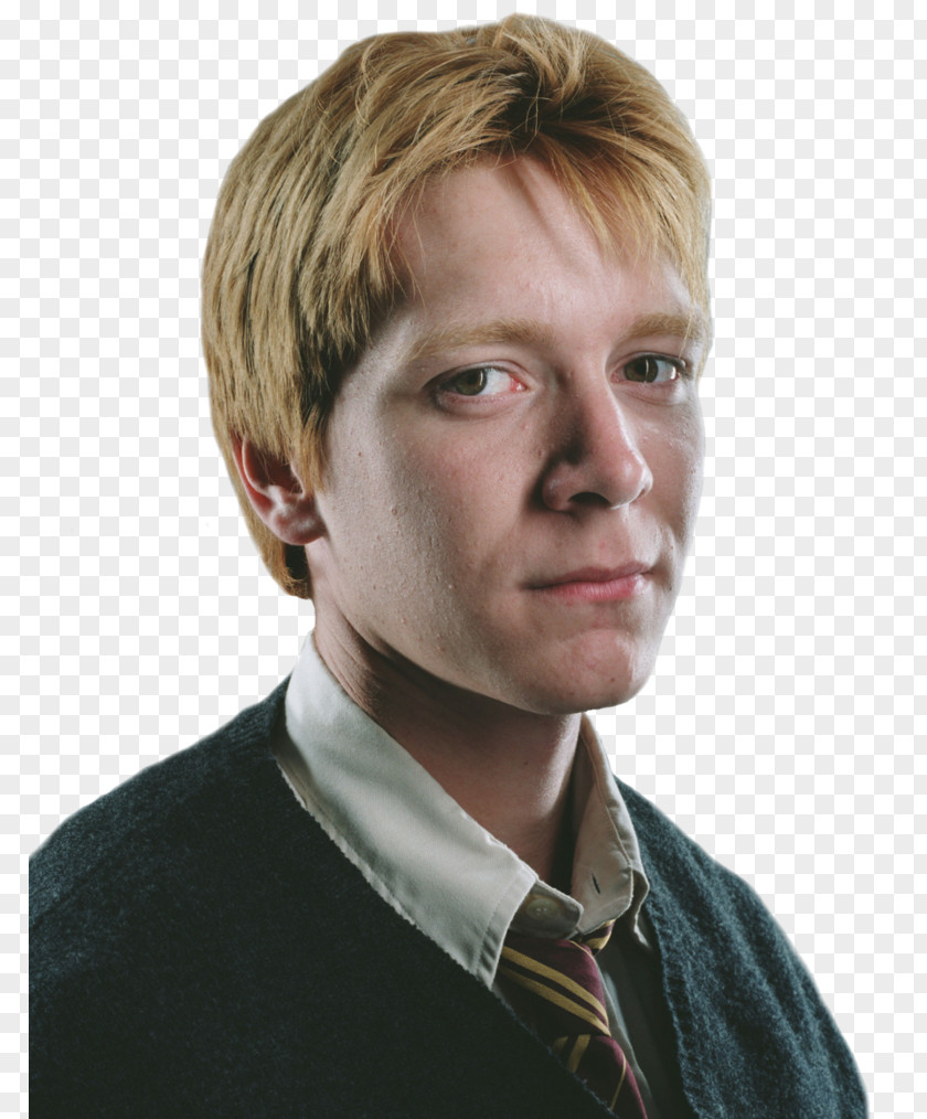 Ron Weasley Harry Potter George Ginny Hermione Granger PNG