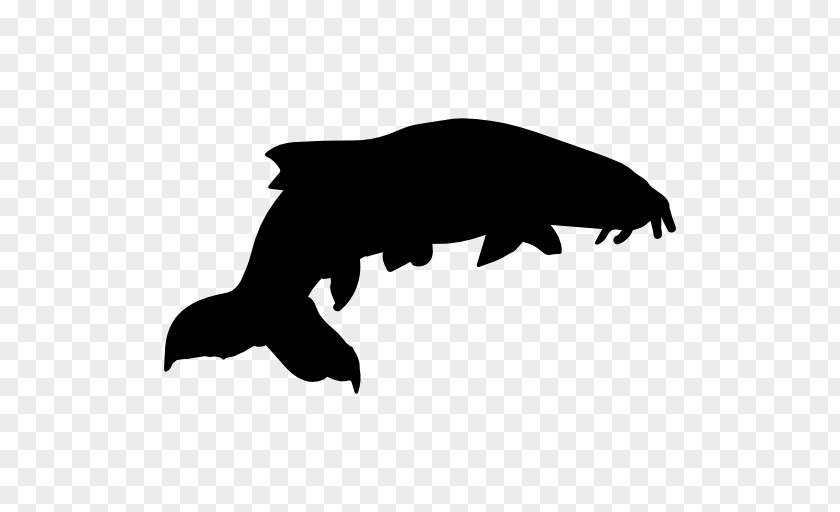 Silhouette Sea Lion PNG