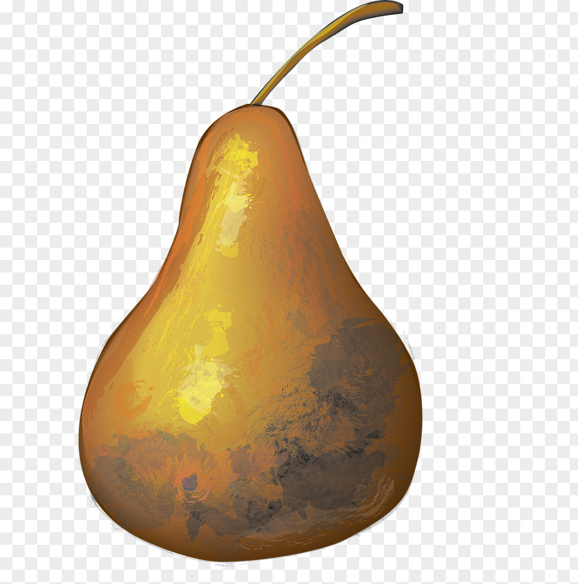 Squash Calabash Pear Fruit Plant Butternut PNG