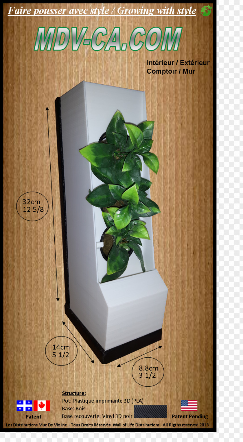 Wall Plants Flowerpot Houseplant Leaf Herb Text Messaging PNG