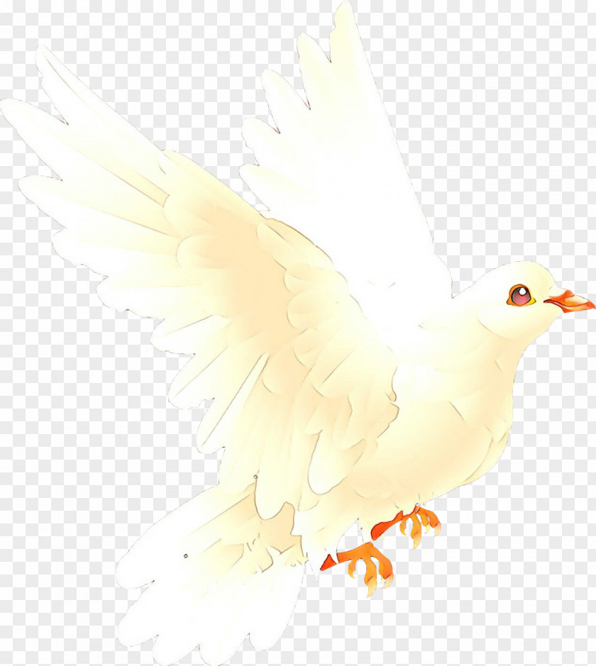Wing White Chicken Cartoon PNG
