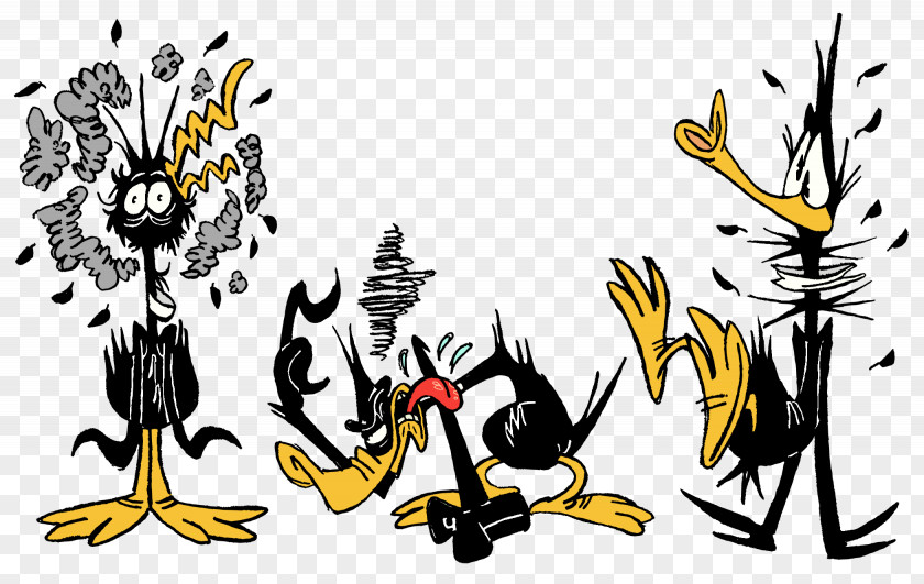 Daffy Poster Duck Clip Art Looney Tunes Cartoon PNG