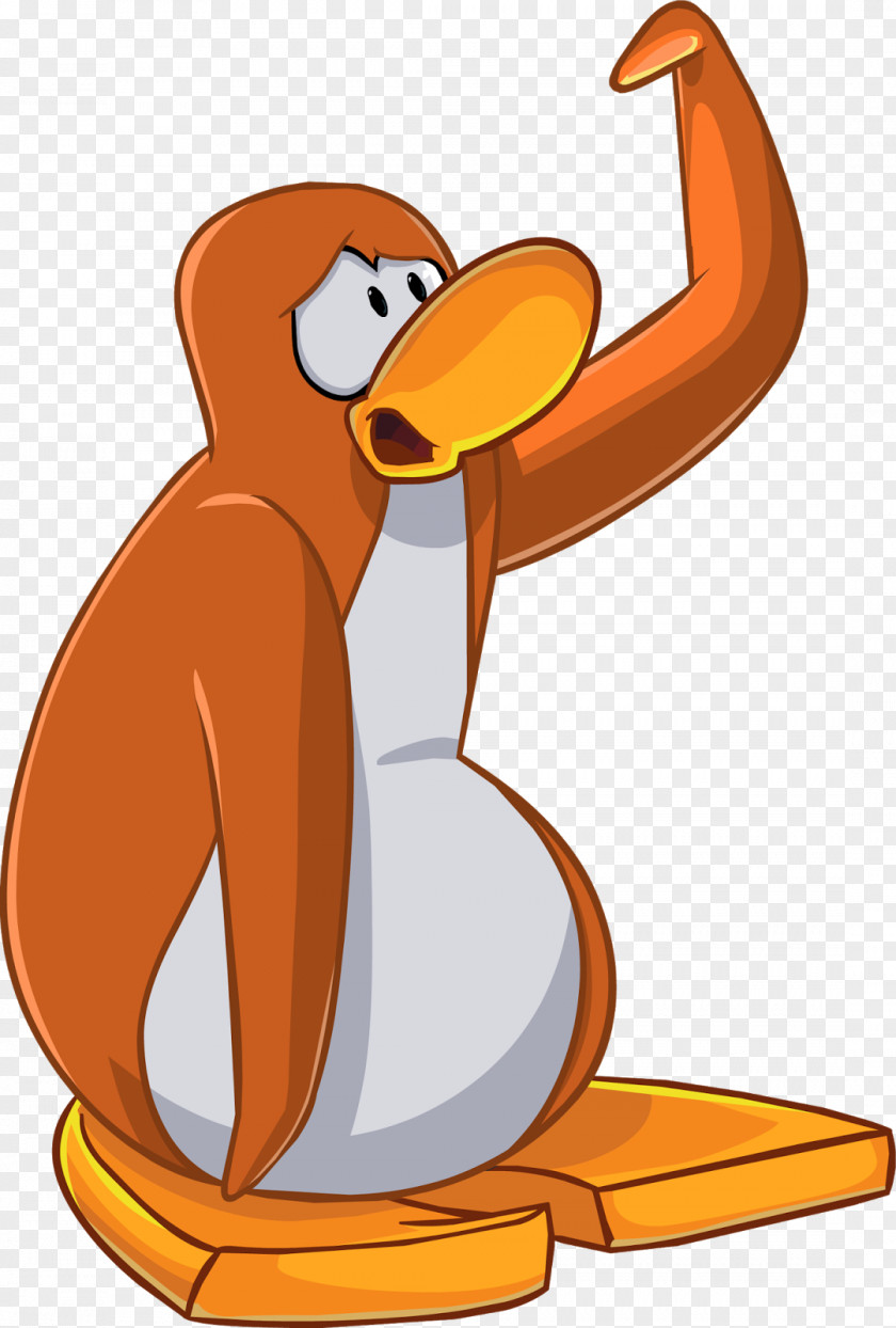 Penguin Club Bird Southern Rockhopper PNG