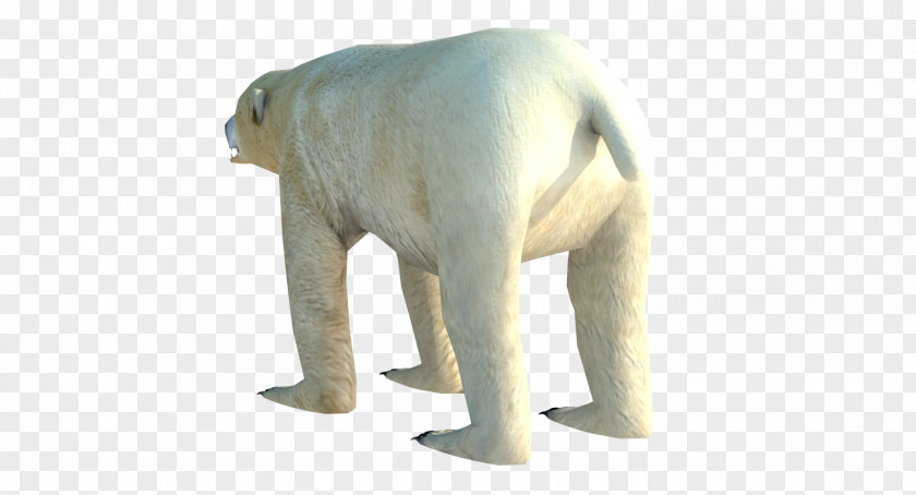 Polar Bear Indian Elephant Low Poly 3D Computer Graphics PNG