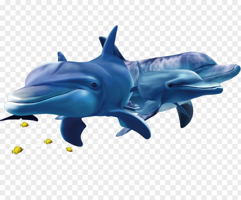 Blue Dolphin Koi Common Bottlenose Goldfish PNG