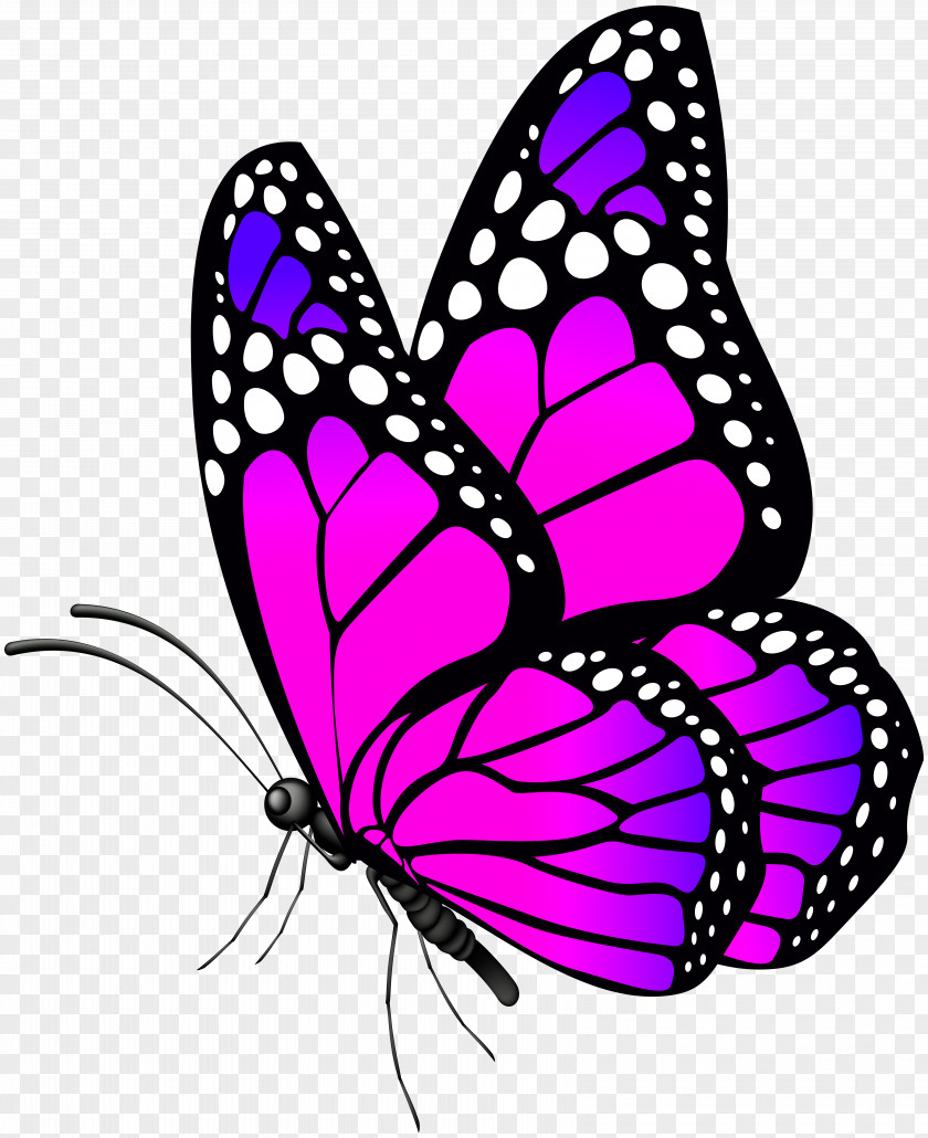 Butterfly Pink Clip Art Image Monarch PNG