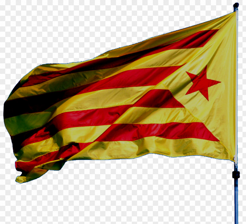 Dia Nacional Declaration Of Independence Catalonia Catalan Republic Movement Estelada PNG