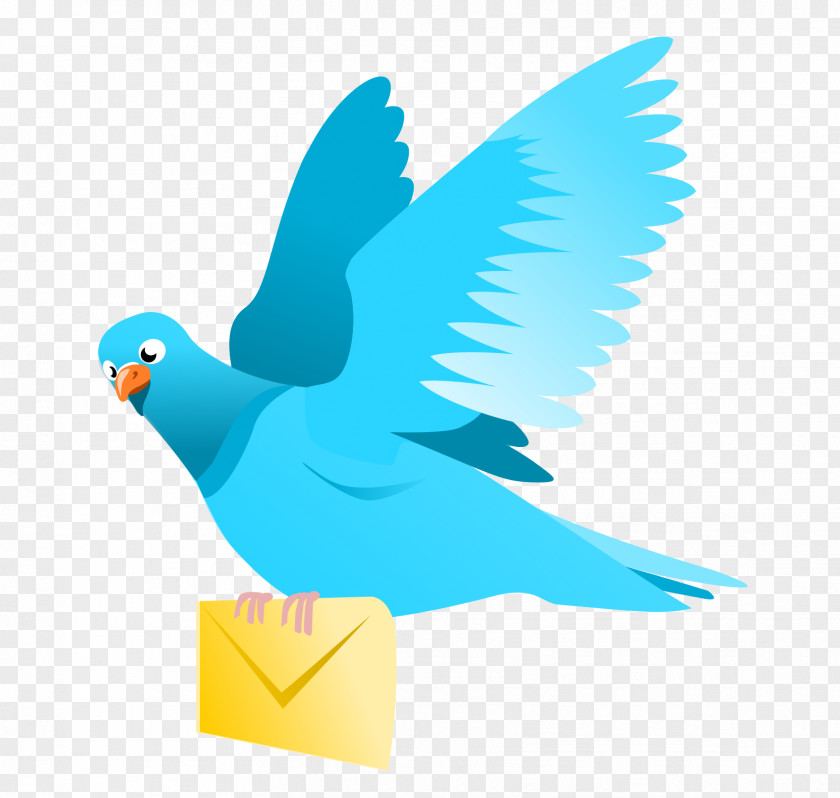 Email English Carrier Pigeon Homing Columbidae Post Clip Art PNG