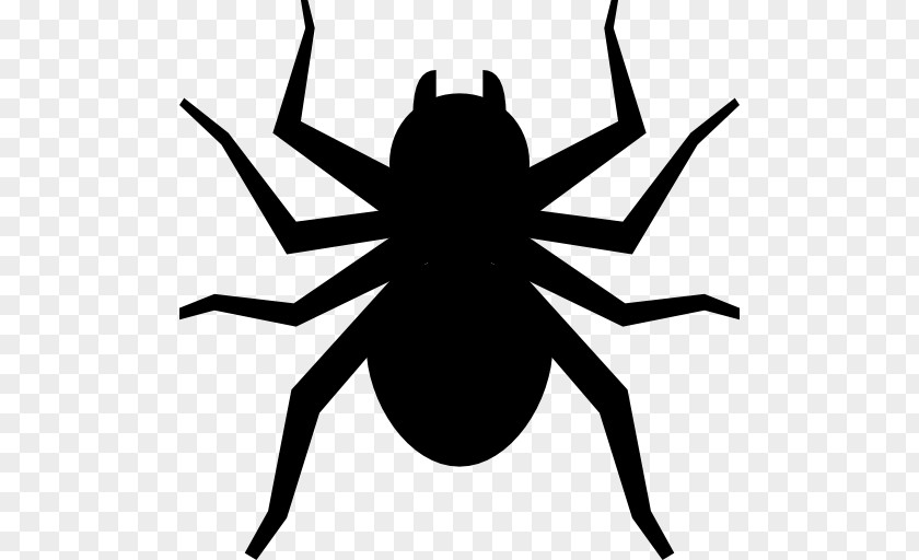 Spider PNG