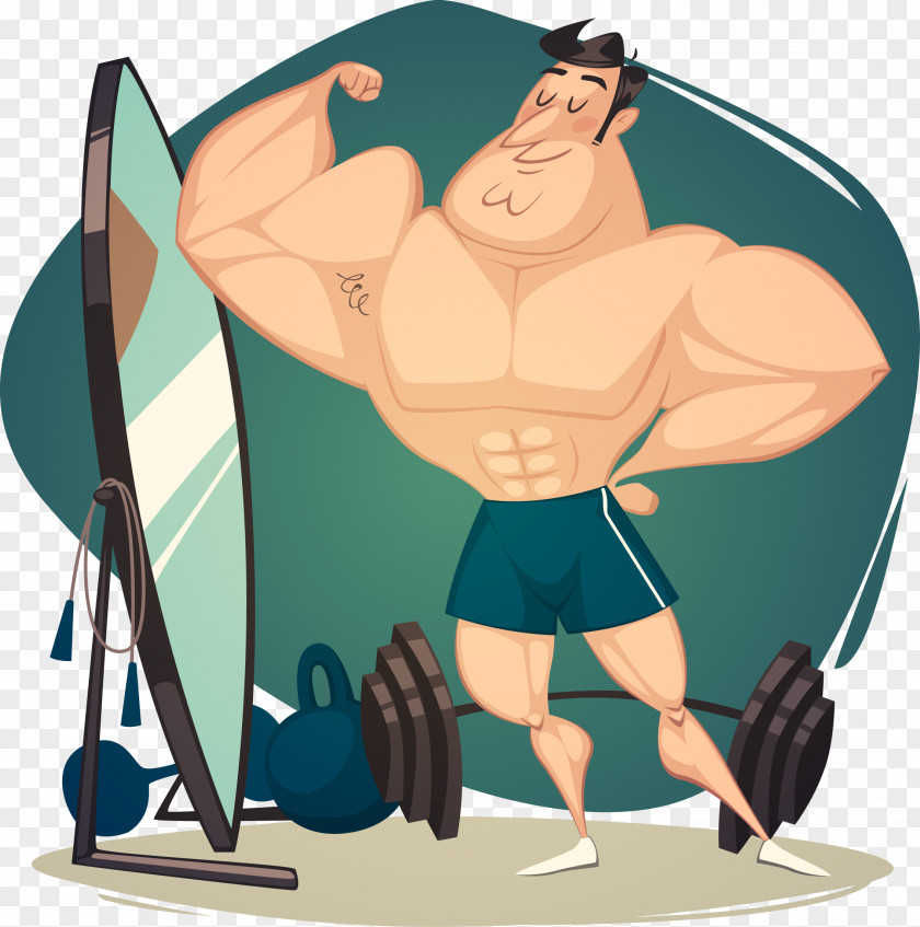Bodybuilding Muscle Stock Photography Royalty-free PNG