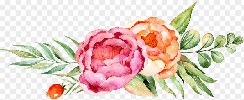Drawing Flowers Peony Clip Art Watercolor Painting Floral Design Illustration PNG