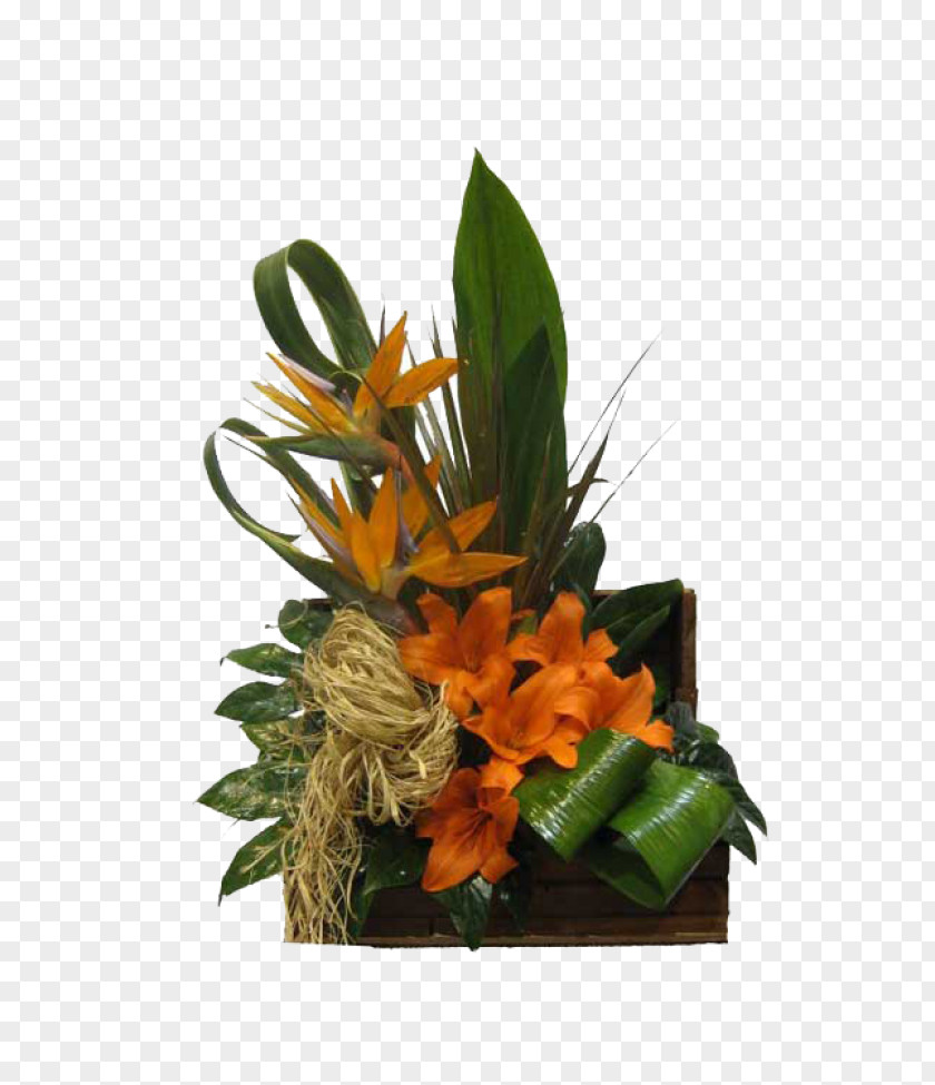 Flower Floral Design Cut Flowers Laceleaf Lilium PNG