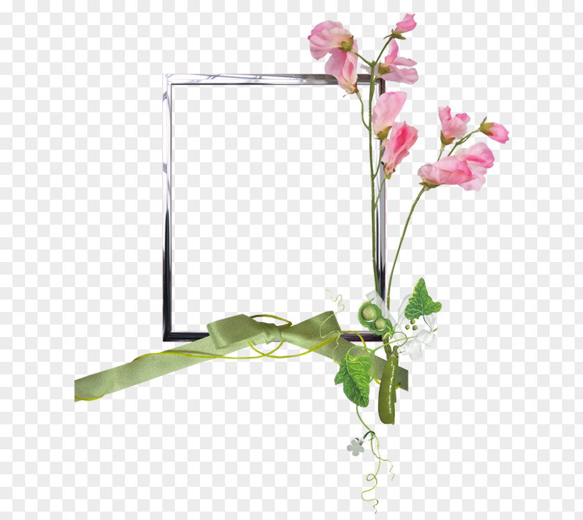 Flower Image Design Drawing PNG