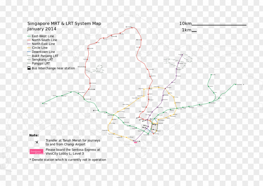 Line Map Angle Organism Tuberculosis PNG