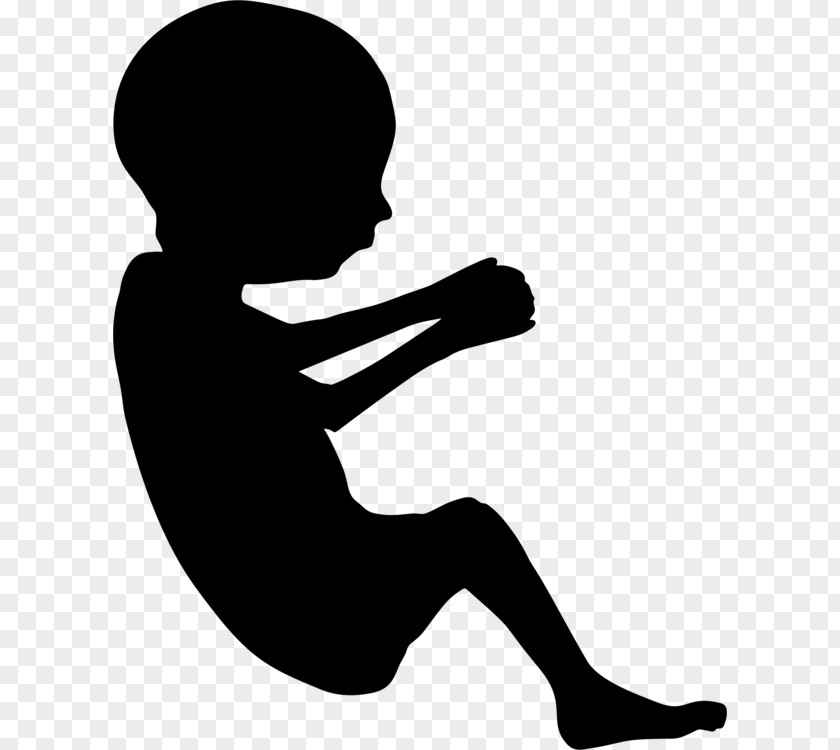 Silhouette Presentation Pregnancy Cartoon PNG