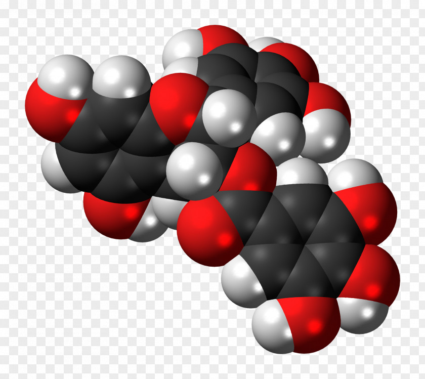 Tea Green Epigallocatechin Gallate Gallocatechol Space-filling Model PNG