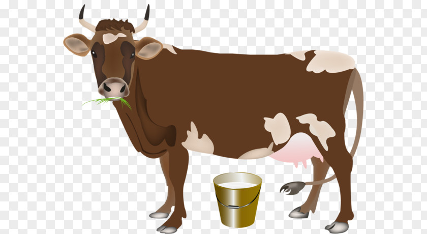Vache Dairy Cattle Milk Farming Vector Graphics Clip Art PNG