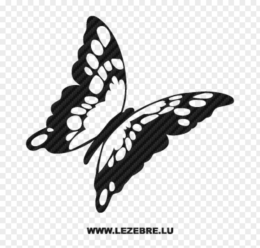 Butterfly Monarch Drawing Coloring Book Line Art PNG