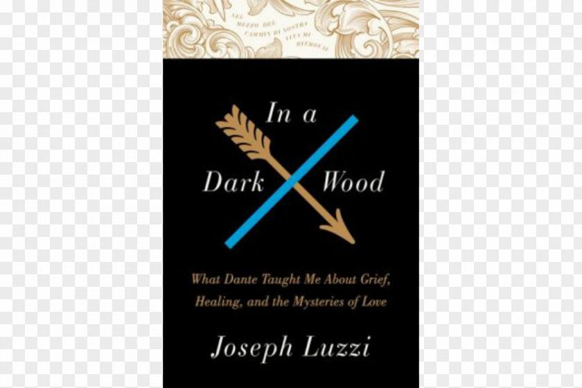 Dark Wood Focus In A Wood: What Dante Taught Me About Grief, Healing, And The Mysteries Of Love My Two Italies Blessed Lens: History Italian Cinema Writer Author PNG