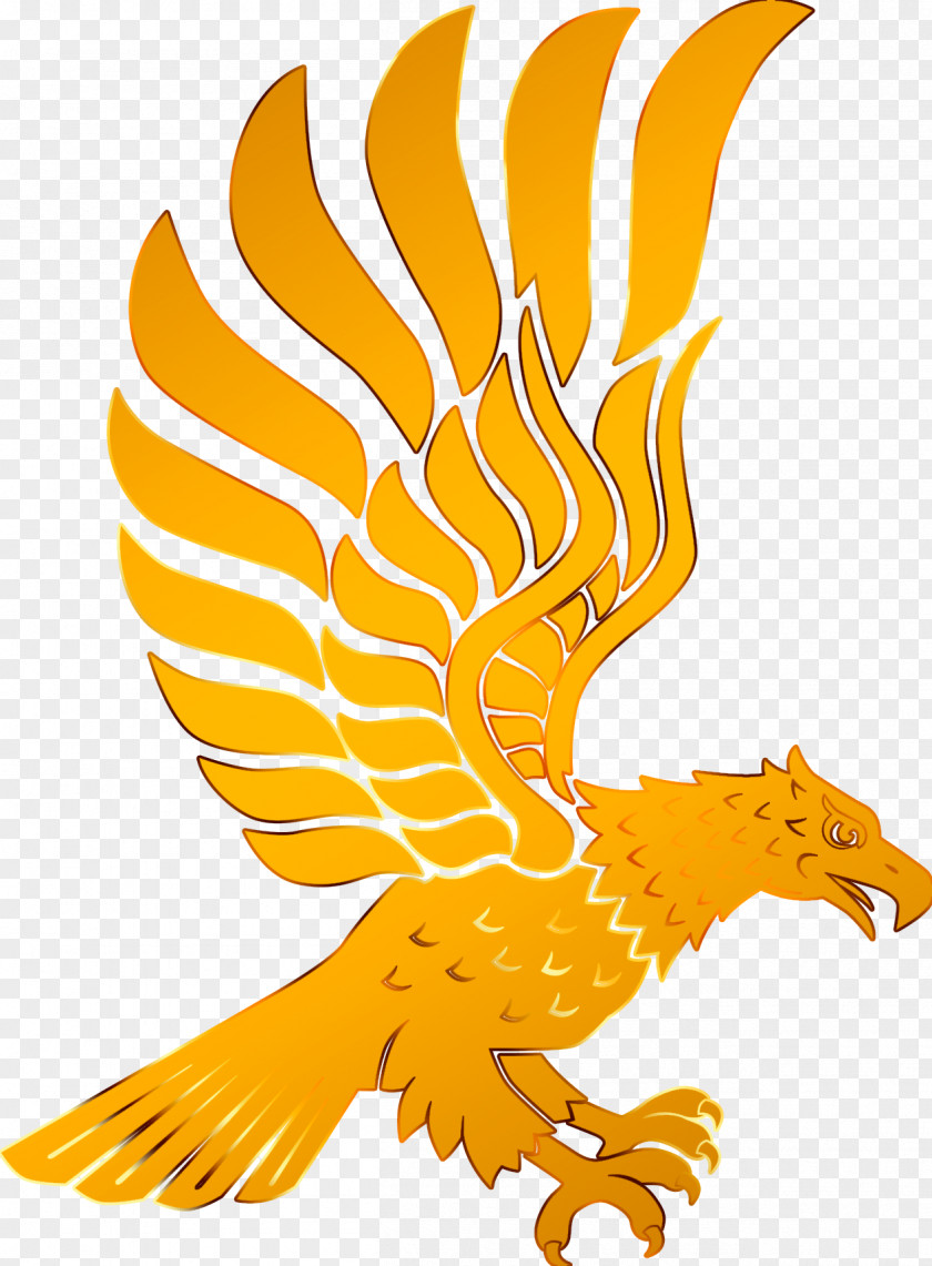 Golden Eagle The Bird PNG