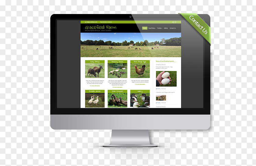 Haywards Heath Education Multimedia Web Design PNG