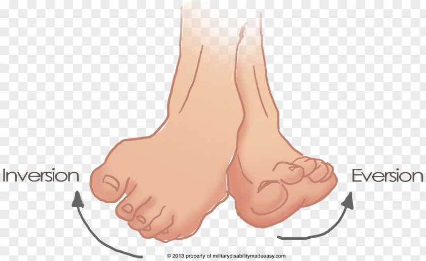 Inversion Foot Eversion Sprained Ankle PNG