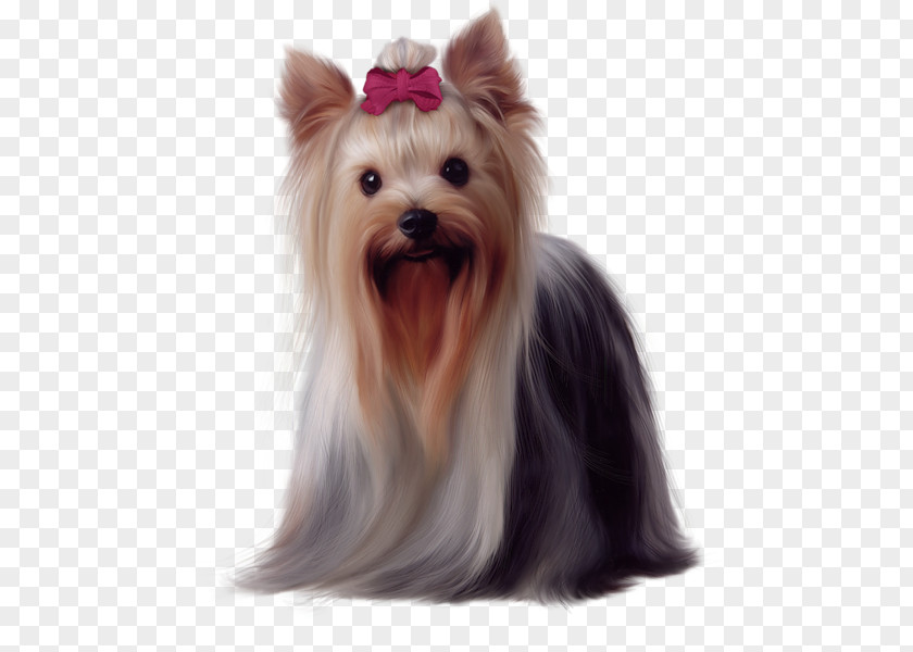 Lady Pet Dog Yorkshire Terrier Golden Retriever Maltese Biewer German Shepherd PNG