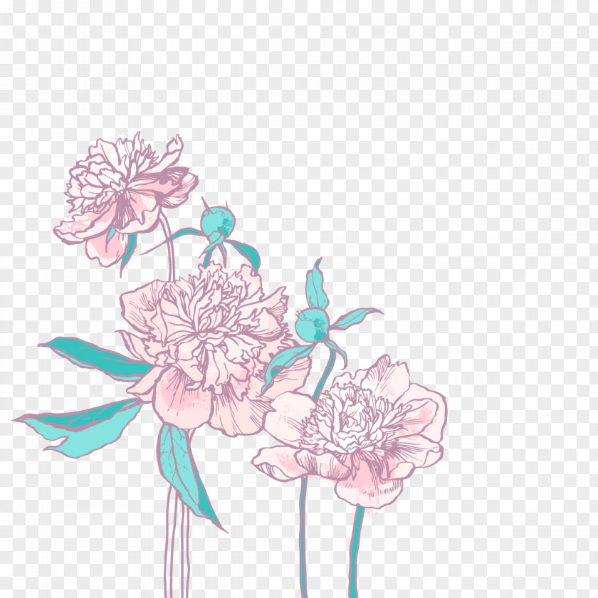 Vector Peony Color Of Lead Floral Design Euclidean Download PNG