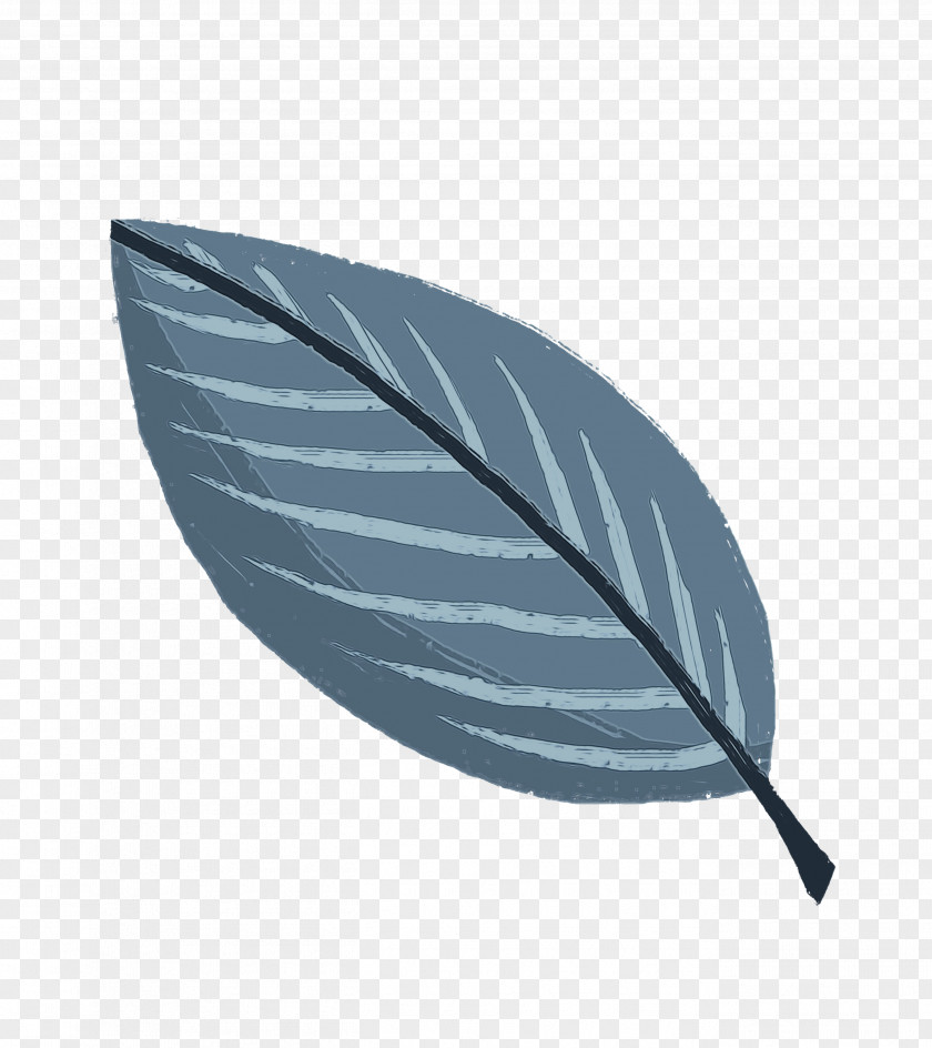 Anthurium Quill Plant Leaf PNG