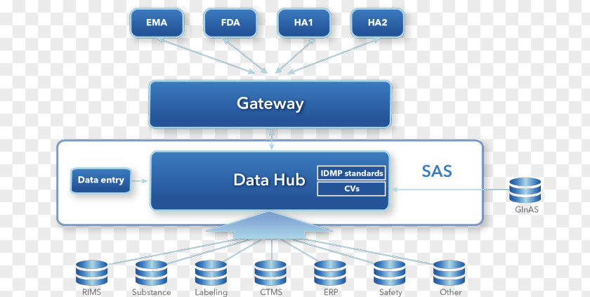 Business Data Hub Master Management PNG