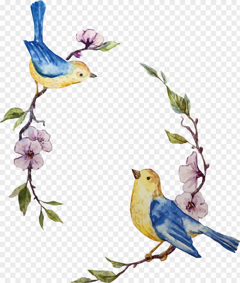 Cartoon Bird Illustration PNG