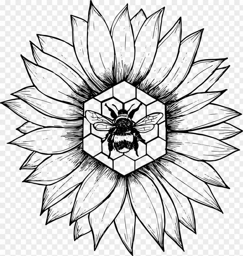 Design Floral Drawing Monochrome PNG